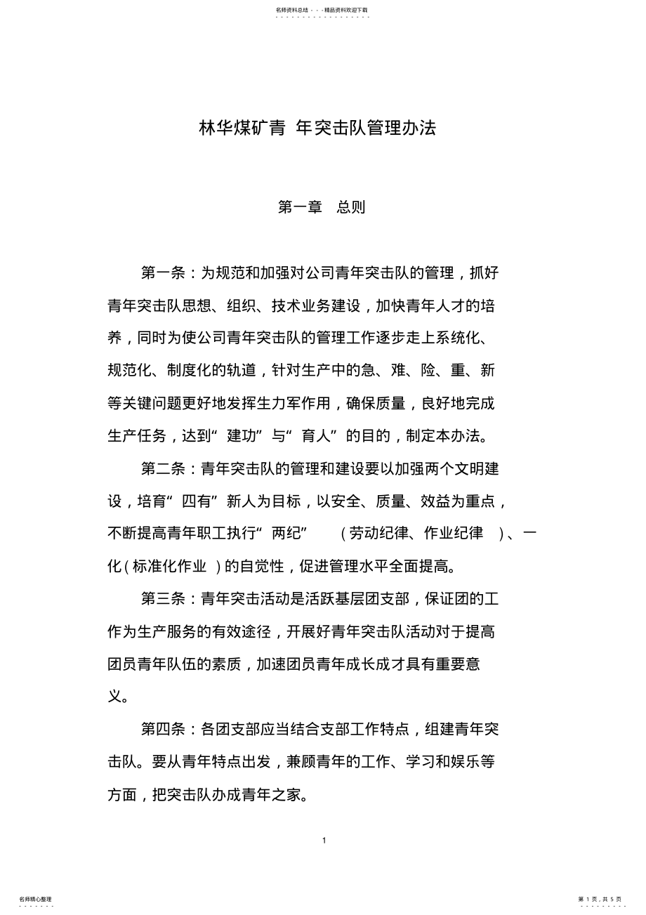 2022年青年突击队管理办法 .pdf_第1页