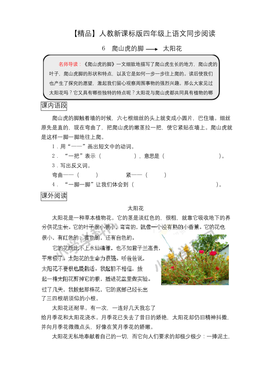 四年级上语文同步阅读及答案-6.爬山虎的脚-人教新课标.docx_第1页