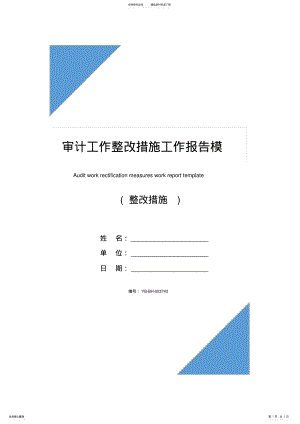 2022年审计工作整改措施工作报告模板 .pdf