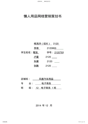 2022年风意汽车用品网络营销策划书 .pdf