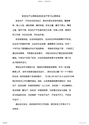 2022年安全生产心得体会安全生产学习心得体会 .pdf