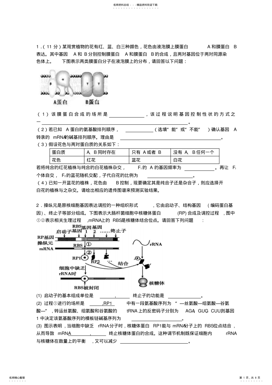 2022年高三复习_基因的表达简答题练习 .pdf_第1页