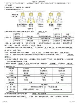 2022年高一生物第五章知识总结 .pdf