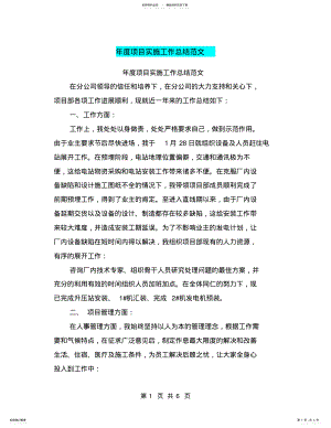 2022年年度项目实施工作总结范文 .pdf