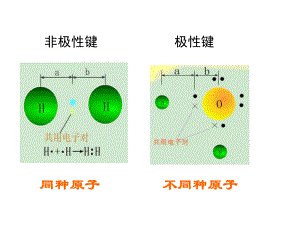 极性键和非极性共价键ppt课件.ppt