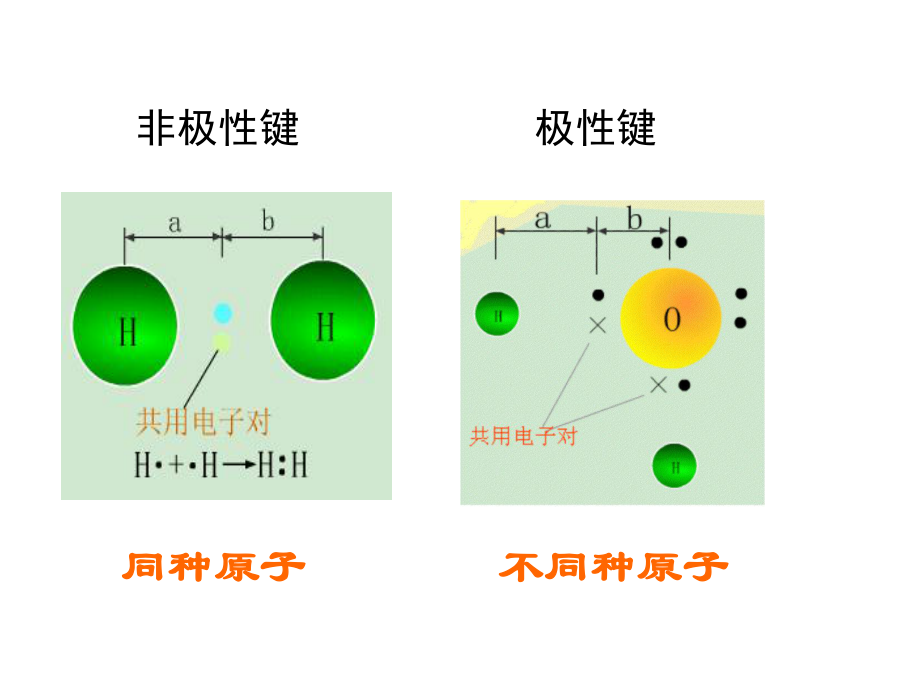 极性键和非极性共价键ppt课件.ppt_第1页