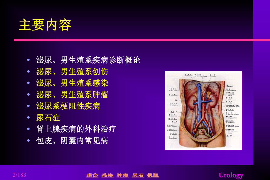 泌尿外科知识全面总结ppt课件.ppt_第2页