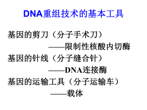 第三章-基因工程载体ppt课件.ppt