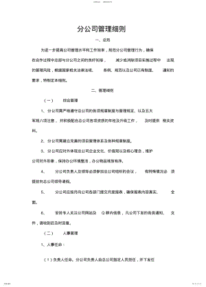 2022年对分公司的管理制度 .pdf