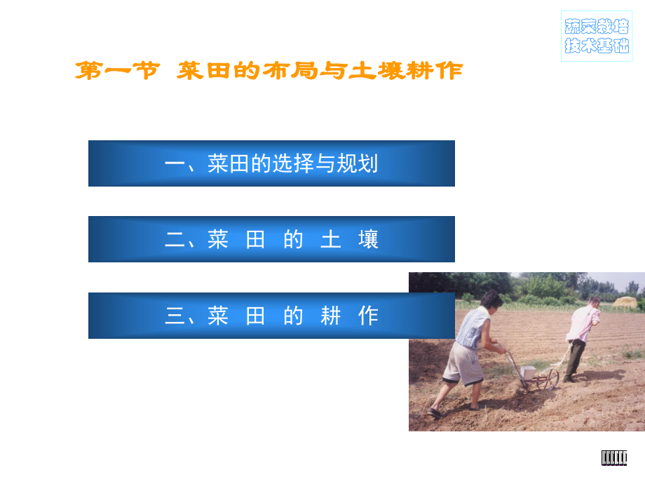 《农学蔬菜种植》PPT课件.ppt_第2页