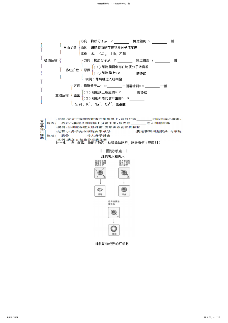 2022年高三生物一轮复习知识点归纳与总结.物质跨膜运输的实例与物质跨膜运输的方式 .pdf_第2页