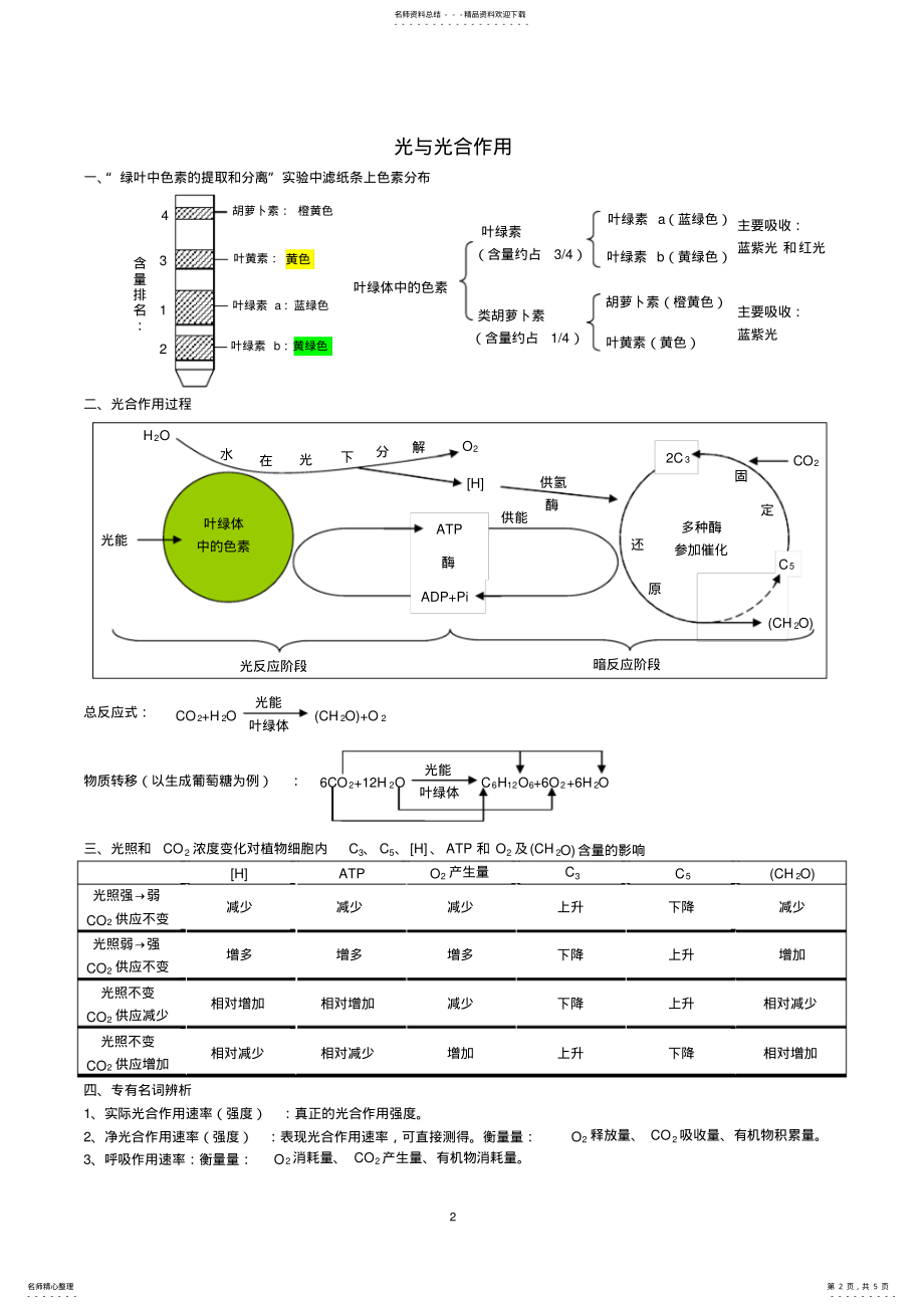 2022年高中生物光合作用与呼吸作用复习提纲 .pdf_第2页