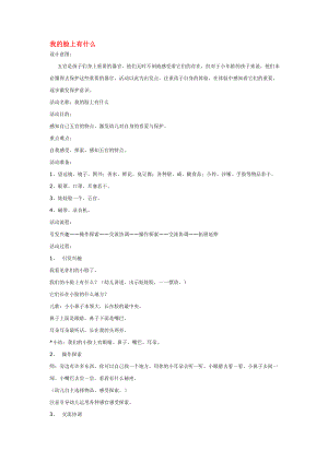 幼儿园大班中班小班我的脸上有什么-优秀教案优秀教案课时作业课时训练.doc