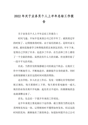 2022年关于业务员个人上半年总结工作报告.docx