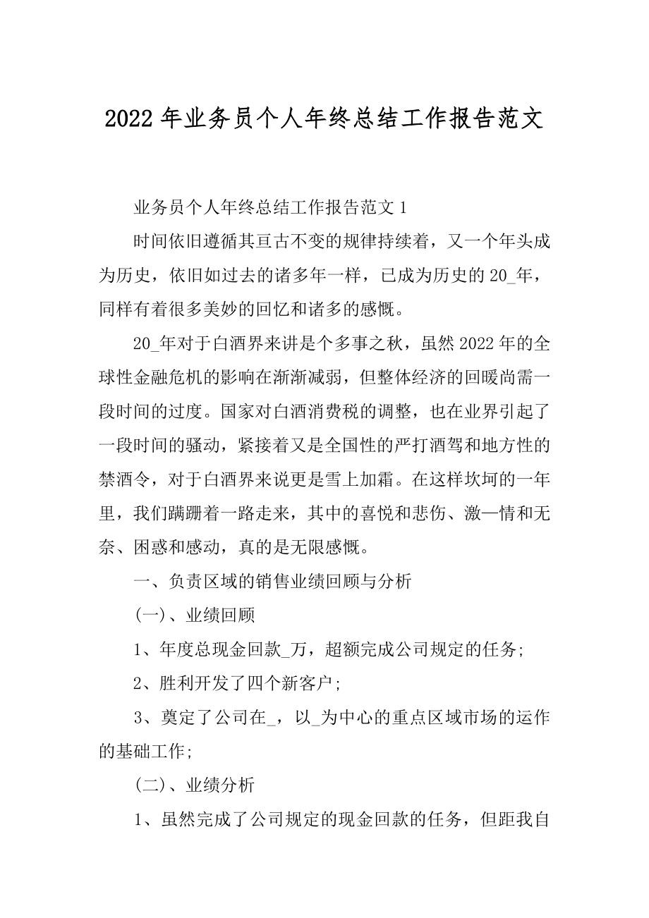 2022年业务员个人年终总结工作报告范文.docx_第1页