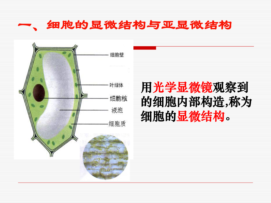 高中生物必修一32细胞器系统内的分工合作PPT课件.ppt_第2页