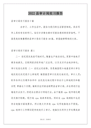 2022县审计局实习报告例文.docx