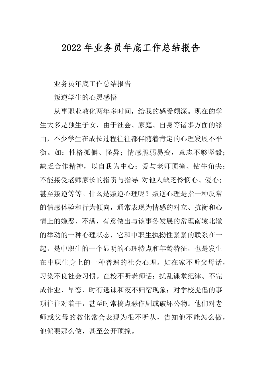 2022年业务员年底工作总结报告.docx_第1页