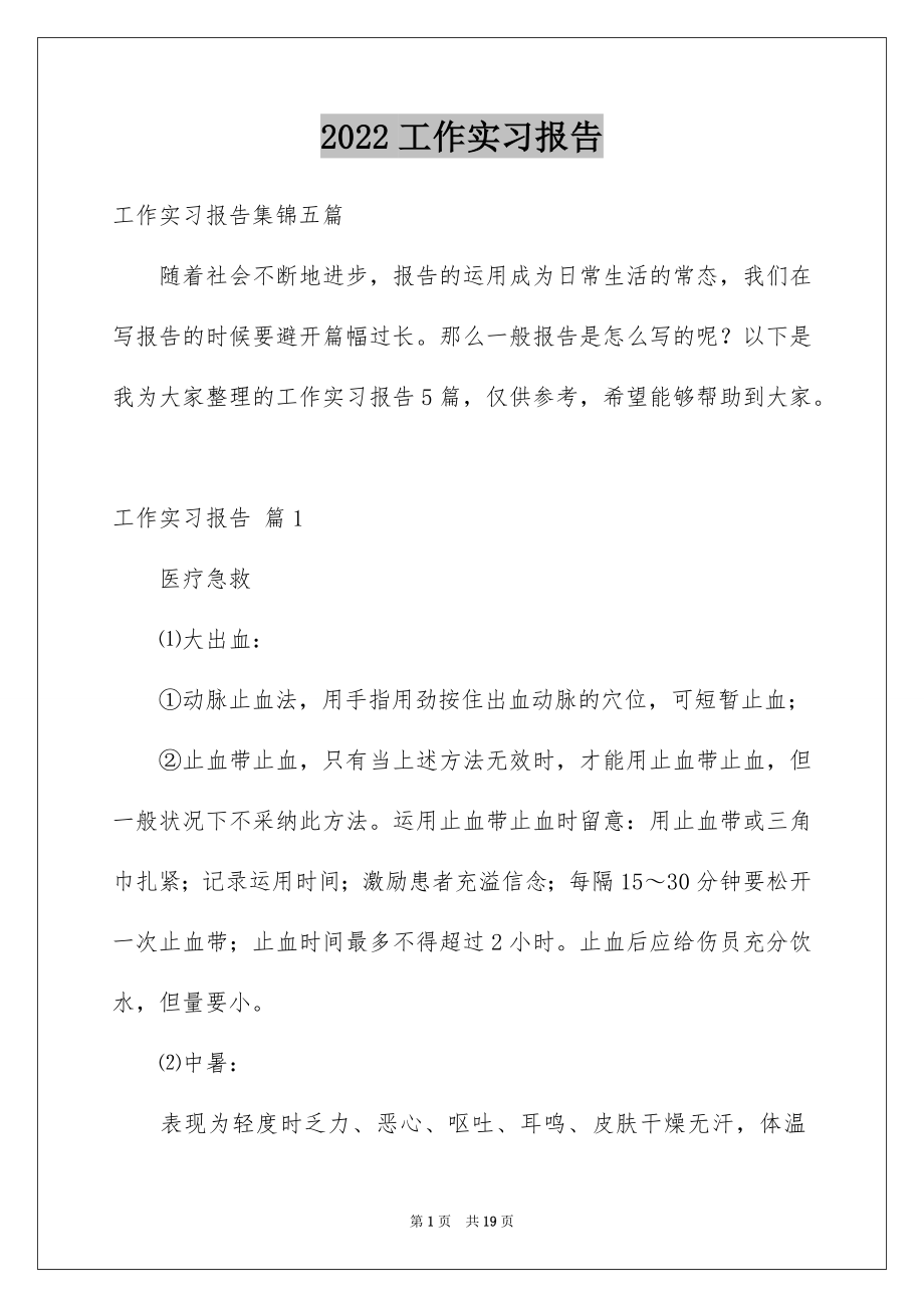 2022工作实习报告例文60.docx_第1页