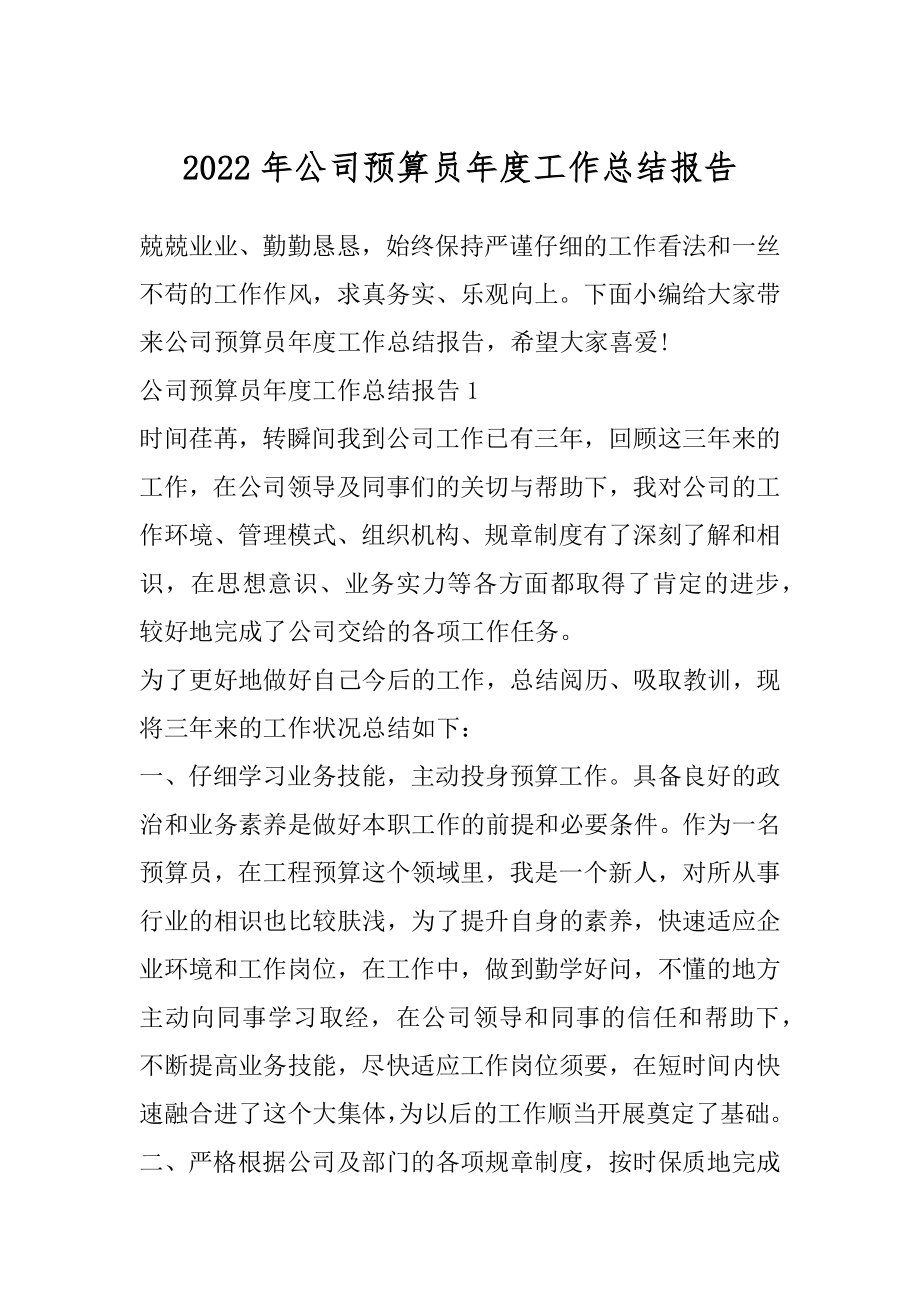 2022年公司预算员年度工作总结报告.docx_第1页