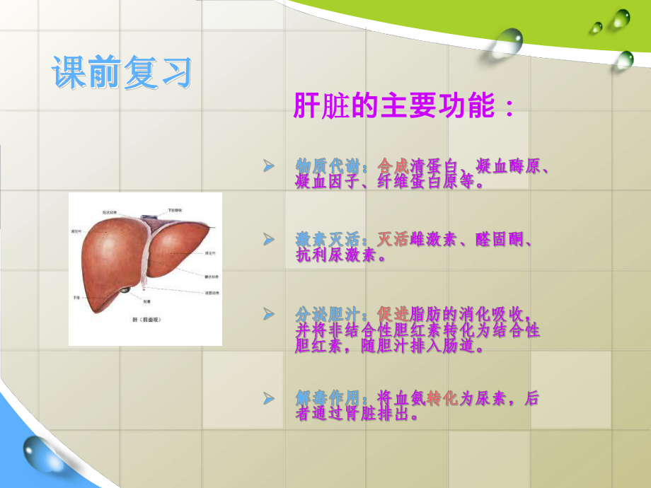 肝硬化病人的护理ppt课件.ppt_第2页