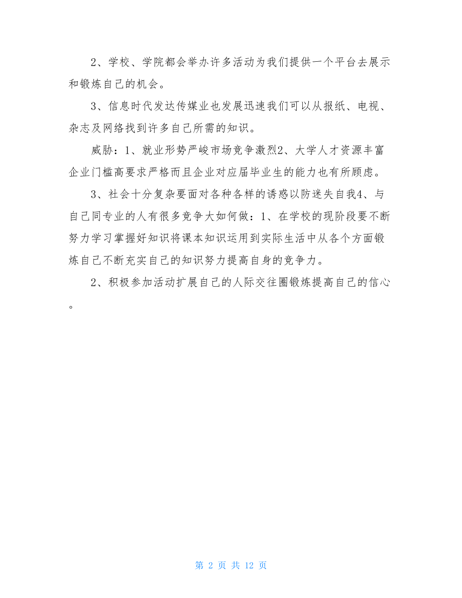 个人总结,swot.doc_第2页