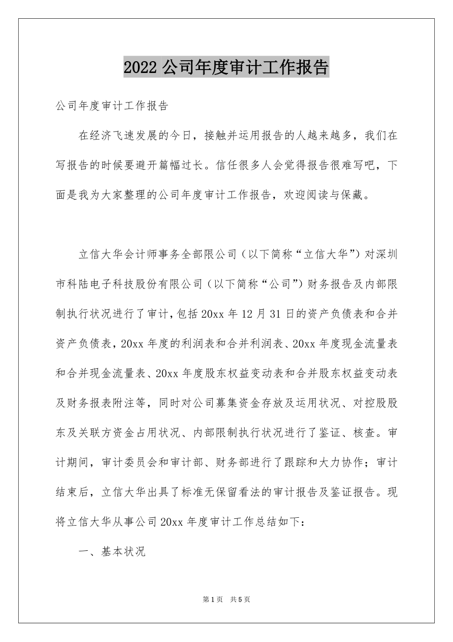 2022公司年度审计工作报告.docx_第1页