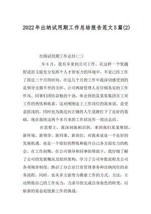 2022年出纳试用期工作总结报告范文5篇(2).docx