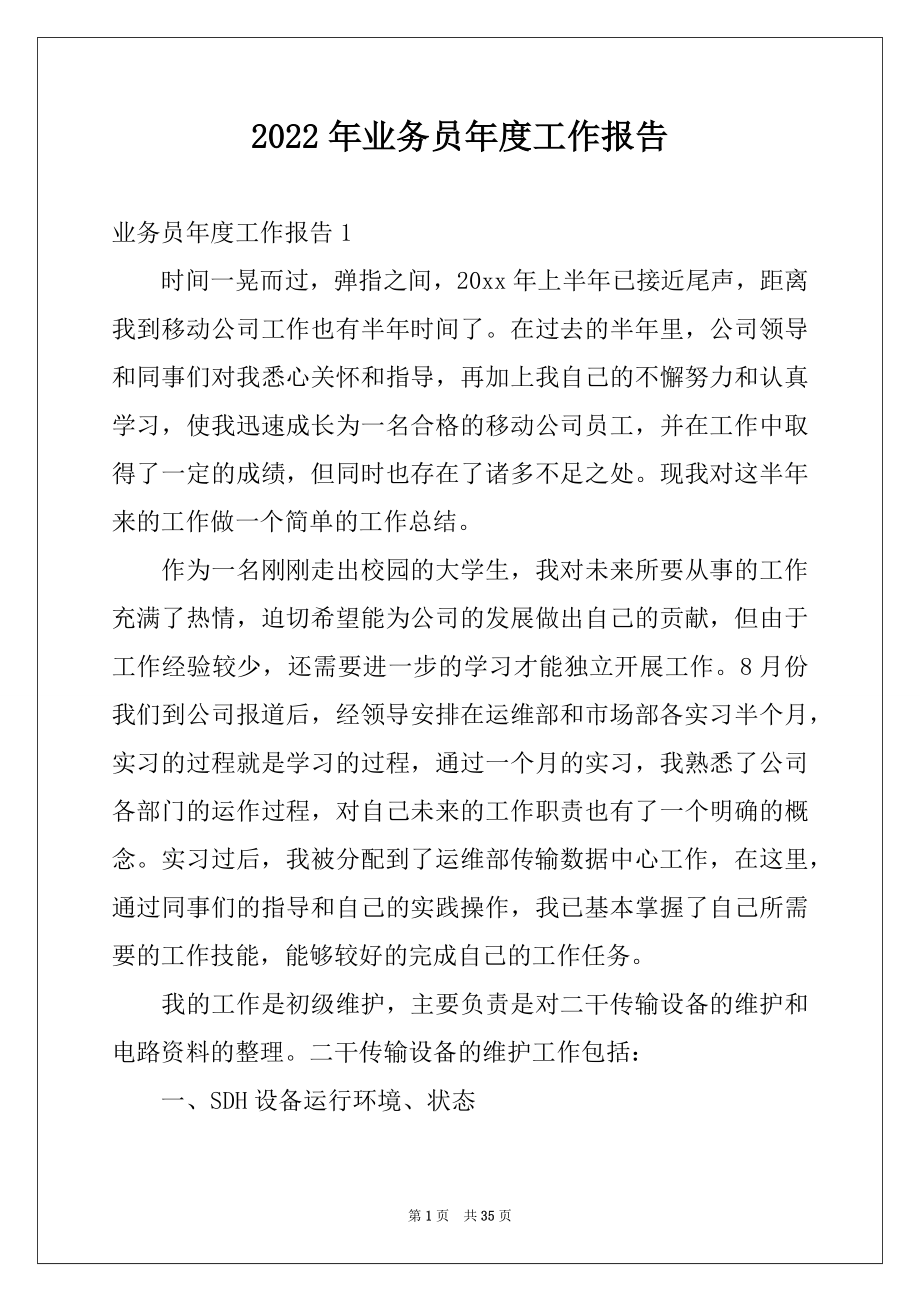 2022年业务员年度工作报告优质.docx_第1页