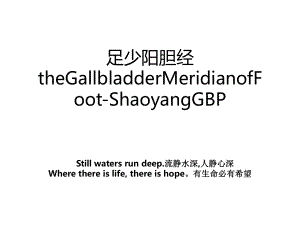 足少阳胆经theGallbladderMeridianofFoot-ShaoyangGBP.ppt