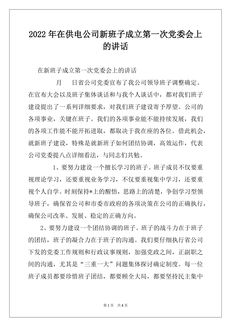 2022年在供电公司新班子成立第一次党委会上的讲话例文.docx_第1页