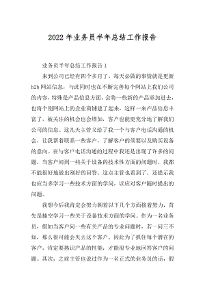 2022年业务员半年总结工作报告.docx