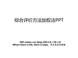 综合评价方法加权法PPT.ppt