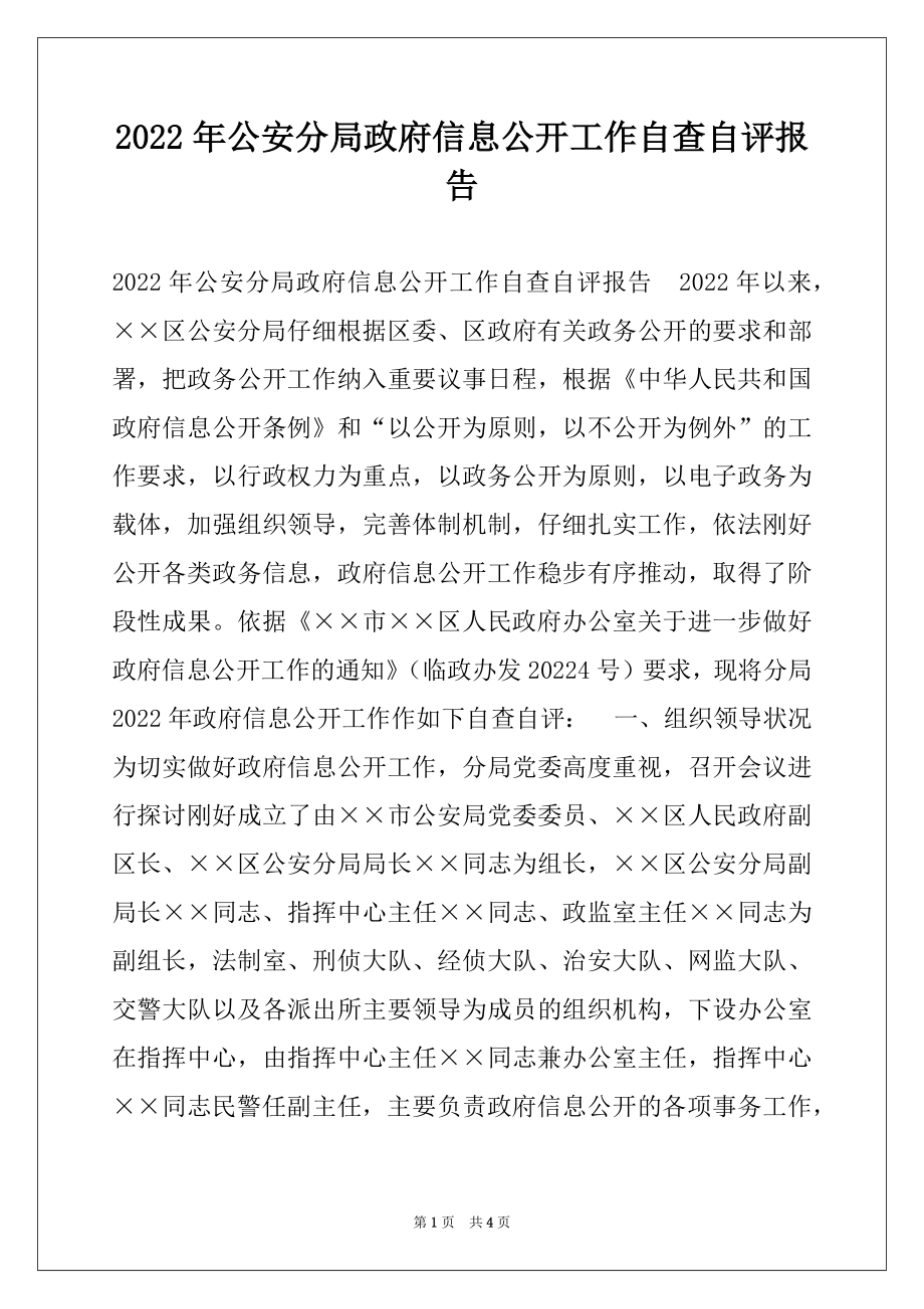 2022年公安分局政府信息公开工作自查自评报告.docx_第1页