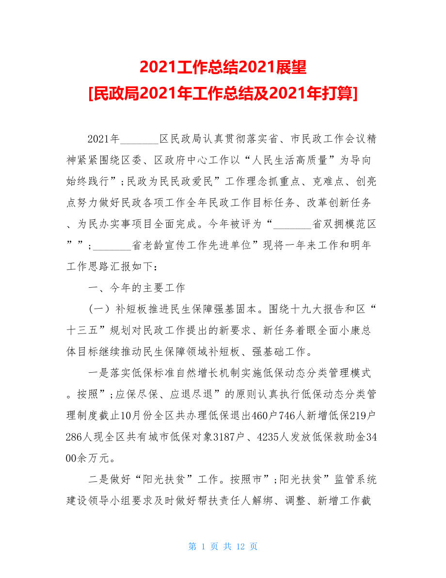 2021工作总结2021展望民政局2021年工作总结及2021年打算.doc_第1页