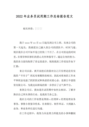 2022年业务员试用期工作总结报告范文.docx