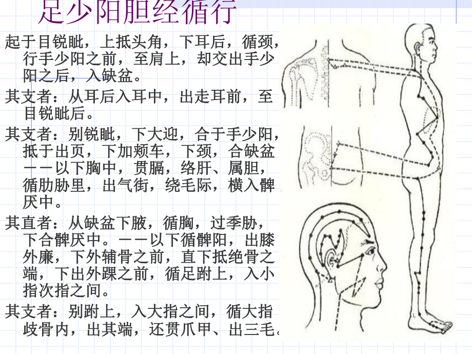 足少阳胆经theGallbladderMeridianofFootShaoyangGB.ppt_第2页