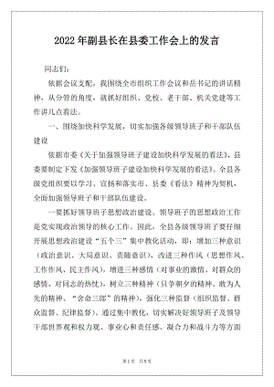 2022年副县长在县委工作会上的发言.docx