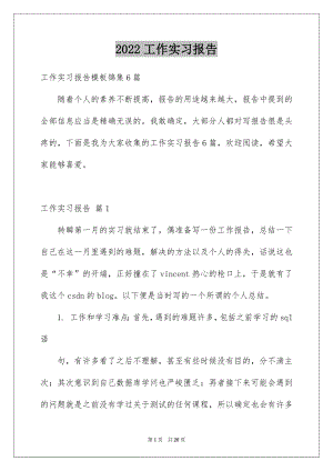 2022工作实习报告范本1.docx