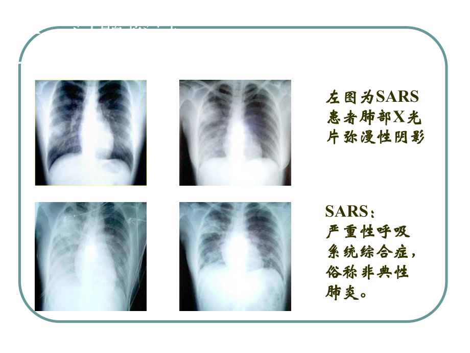 走近细胞(2011).ppt_第2页