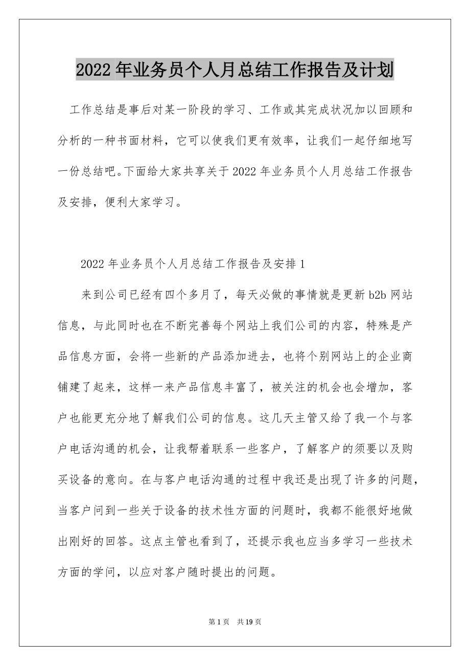 2022年业务员个人月总结工作报告及计划.docx_第1页