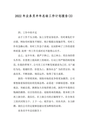 2022年业务员半年总结工作计划报告(3).docx