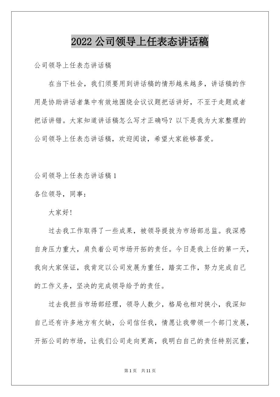 2022公司领导上任表态讲话稿范文.docx_第1页