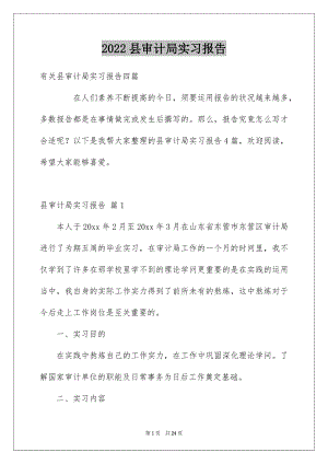 2022县审计局实习报告.docx