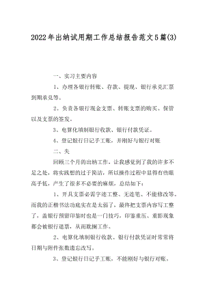 2022年出纳试用期工作总结报告范文5篇(3).docx