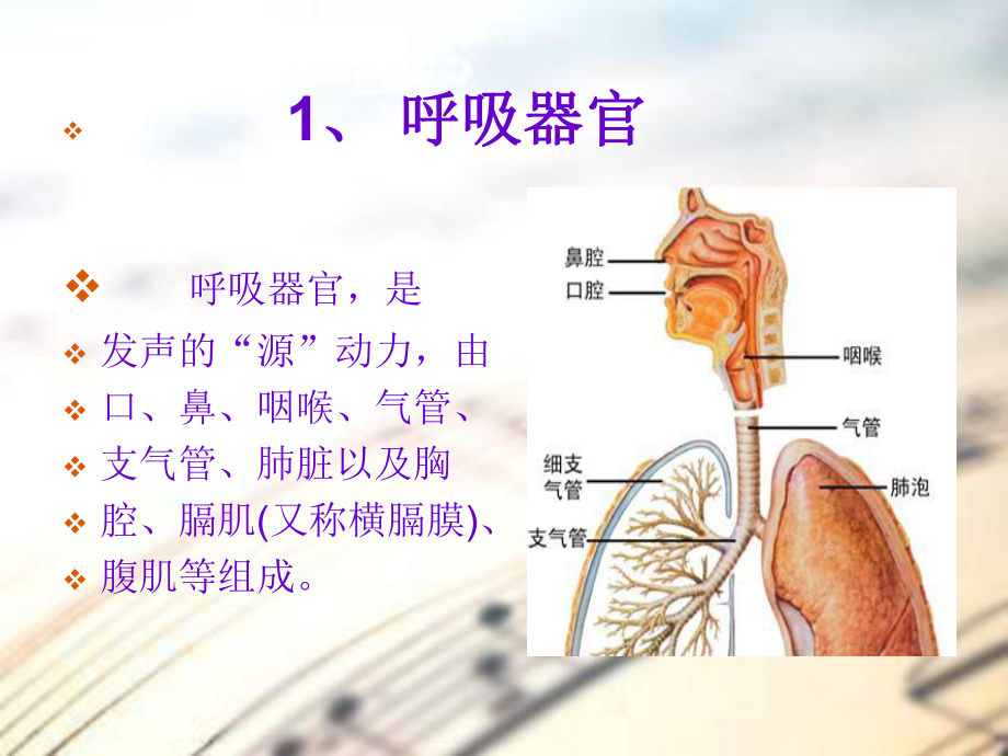 歌唱基础知识ppt课件.ppt_第2页