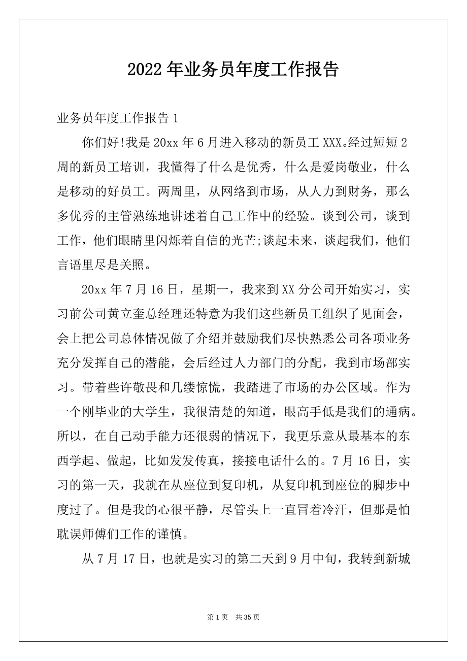 2022年业务员年度工作报告例文.docx_第1页