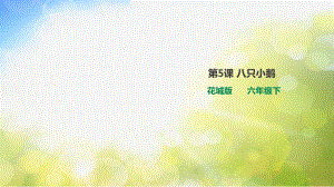 小学六年级下册音乐-第5课第二课时八只小鹅花城版ppt课件.pptx