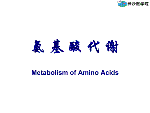 氨基酸代谢ppt课件.ppt