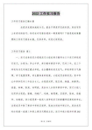 2022工作实习报告例文43.docx